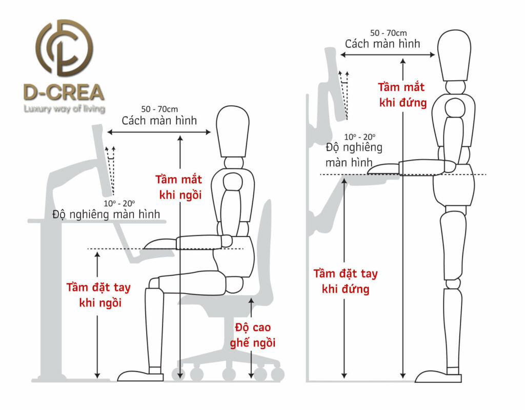 D-CREA | Ergonomics - Mối Liên Hệ Giữa Con Người Và Thiết Kế